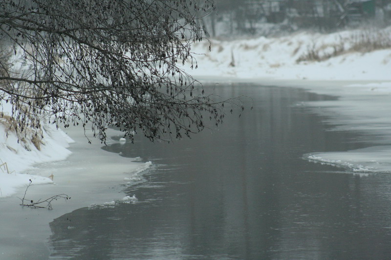 IMG_1716.jpg1.jpg"%20height="533"%20width="800